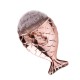 Nail Art Brushes Chubby Mermaid Rose Gold Мека четка за почистване на прах
